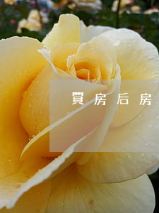買房后房屋被查封該怎么辦？
